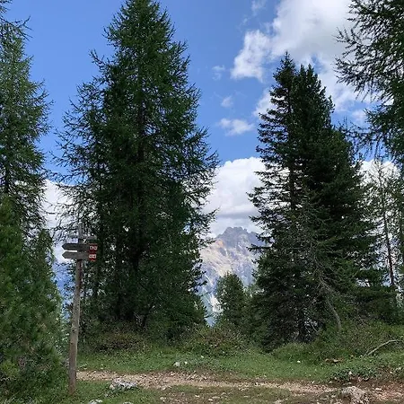Serena Cortina 3* Cortina dʼAmpezzo